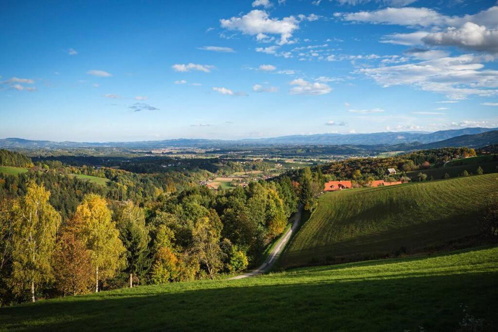 Chalet-Suedsteiermark - Traumhafte Aussicht, Infinity Pool, Privatsphaere, Klima Und De-Luxe Ausstattung Schwanberg 外观 照片
